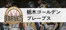 栃木ゴールデンブレーブス