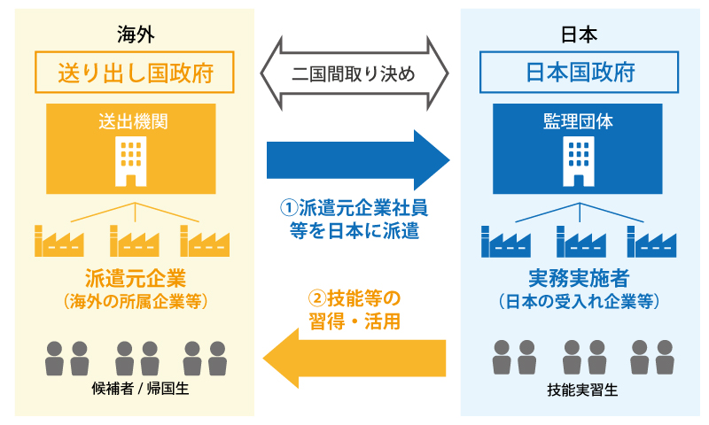 団体監理型の説明図